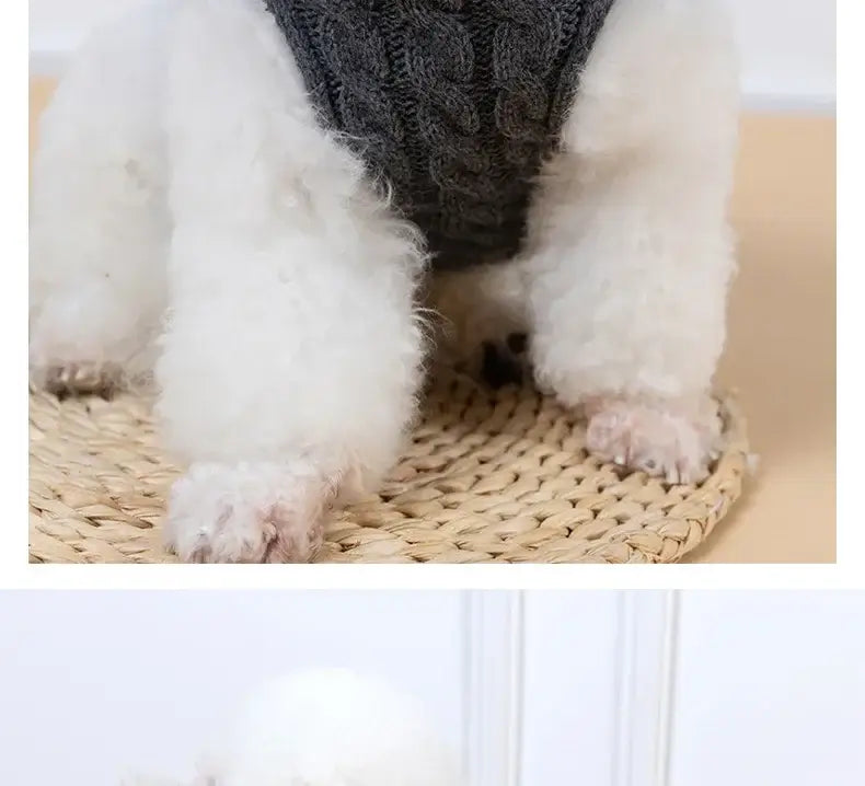 small dog winter sweater for Chihuahua and Yorkie, warm knitted turtleneck pet vest for autumn and winter