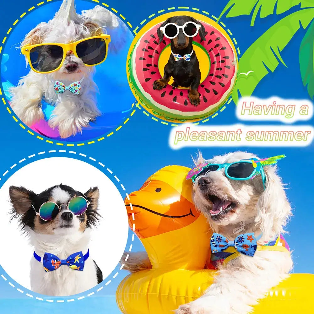 50pcs Small Dog Bowtis Pet Bowknot Fashion Dog Grooming For Dogs Pets Bow Tie Neckties Dog Grooming Accessories on happy dogs.