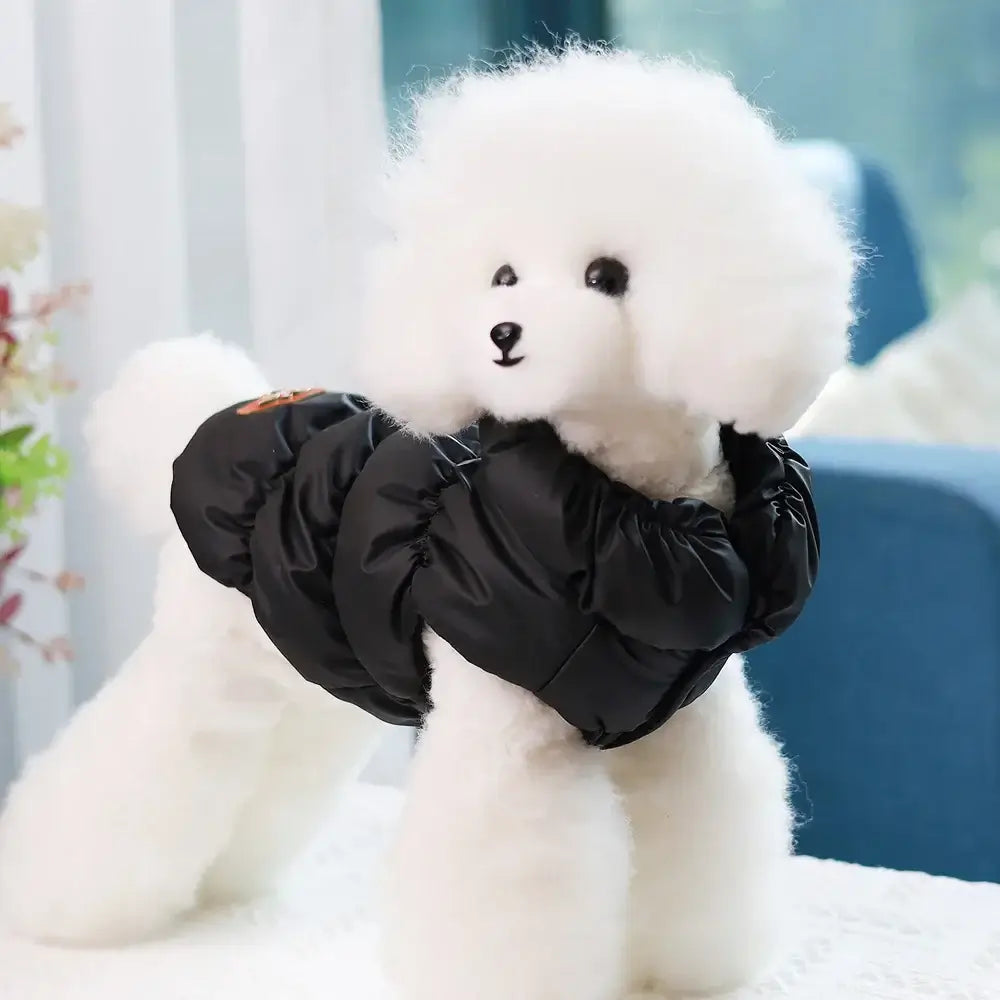 small dog winter coat for a fluffy white poodle in a black padded warm jacket, windproof pet outfit for winter