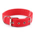 Solid Dog Collars Nylon Dog Collar For Small Medium Large Dogs Teddy Keji Pitbull Bulldog Beagle