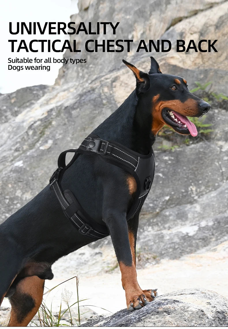 Dog wearing a tactical chest and back harness, showcasing its versatility for all body types.
