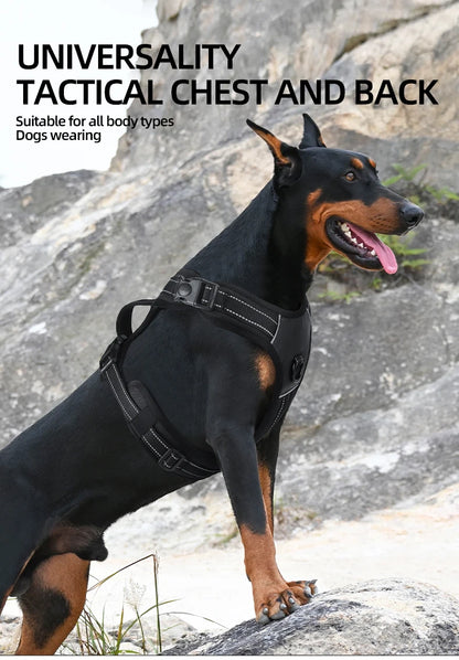 Dog wearing a tactical chest and back harness, showcasing its versatility for all body types.