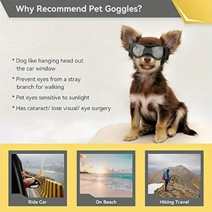 dog uv protective goggles for small dogs, pet sunglasses for car rides, beach walks, and hiking