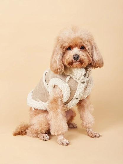 Cute small dog wearing warm dog winter vest with soft fleece lining for autumn and winter cold weather.