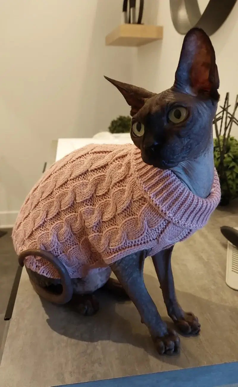 Sphynx cat wearing a pink small dog turtleneck sweater with cable knit design for warmth and style