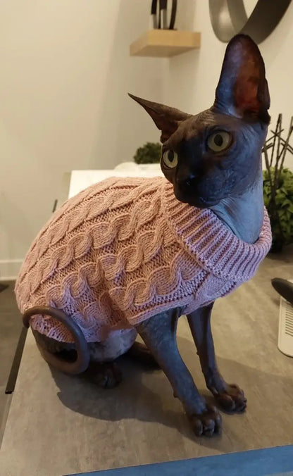 Sphynx cat wearing a pink small dog turtleneck sweater with cable knit design for warmth and style