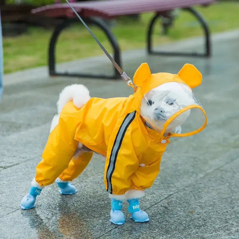 Cute dog wearing waterproof raincoat and waterproof dog boots, perfect for outdoor adventures in wet weather.
