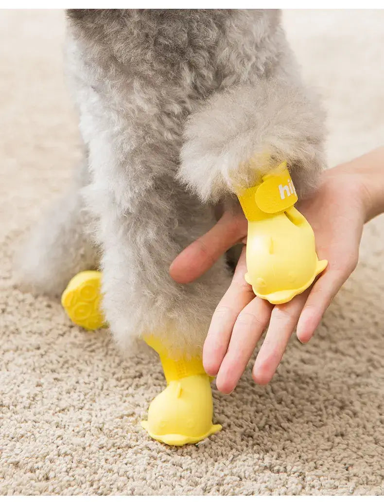 Dog wearing yellow waterproof dog boots, with a hand adjusting one boot, on a carpet.