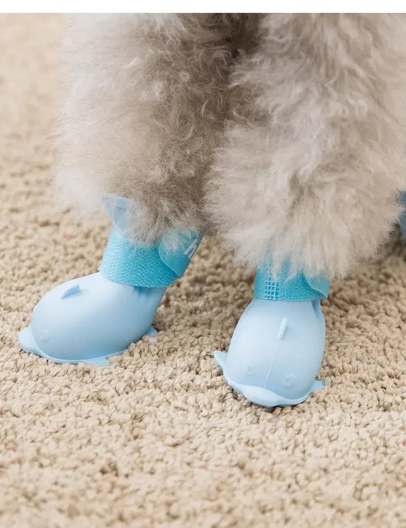 waterproof dog boots in light blue on small dog&