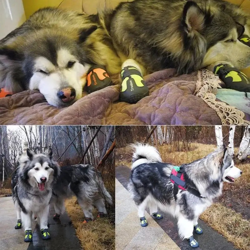 Waterproof dog boots for small, medium and large dogs with reflective, anti-slip breathable design for outdoor use