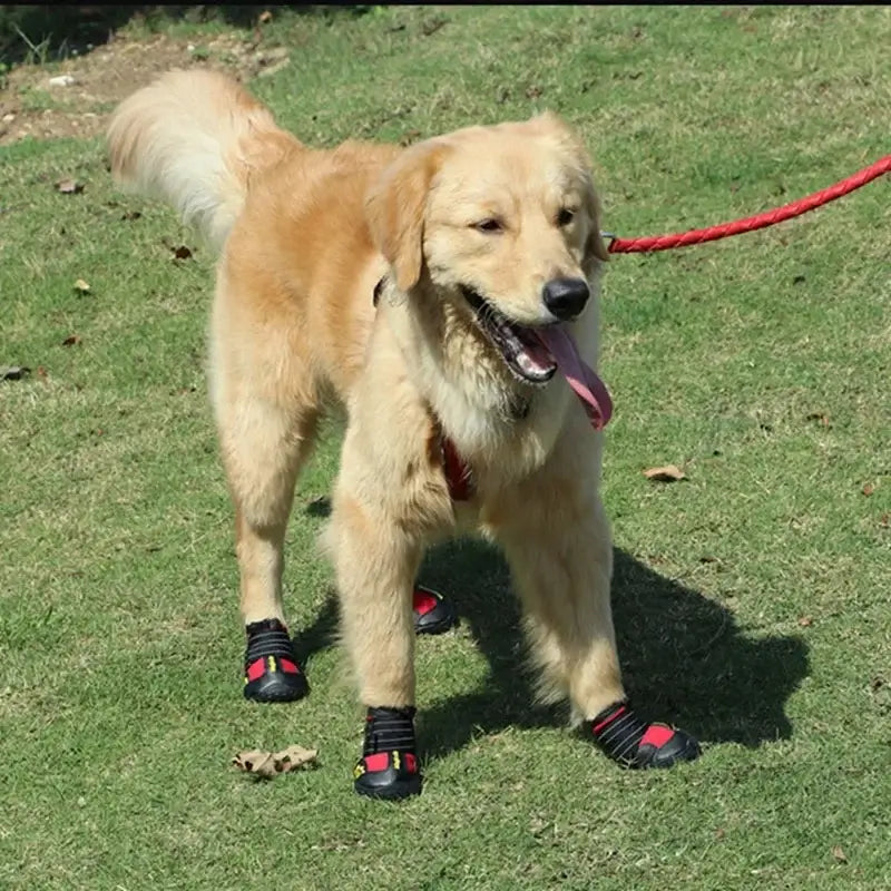 Dog Shoes Breathable Waterproof Outdoor Dog Boots Anti-Skid Wear-Resisting Reflective Pet Shoes for Small Medium Large Dogs
