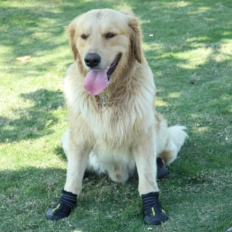 Dog Shoes Breathable Waterproof Outdoor Dog Boots Anti-Skid Wear-Resisting Reflective Pet Shoes for Small Medium Large Dogs