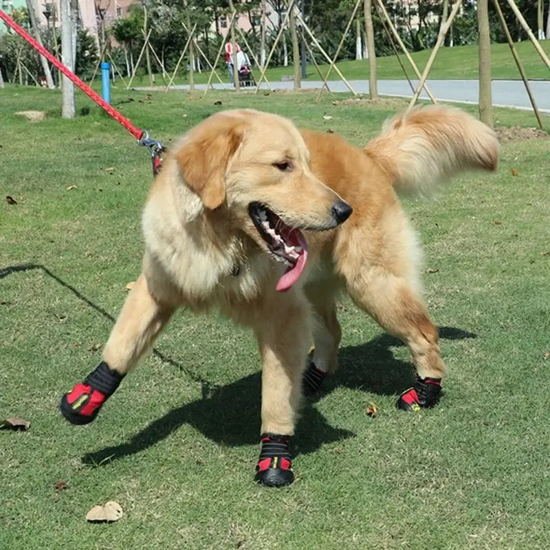 Dog Shoes Breathable Waterproof Outdoor Dog Boots Anti-Skid Wear-Resisting Reflective Pet Shoes for Small Medium Large Dogs