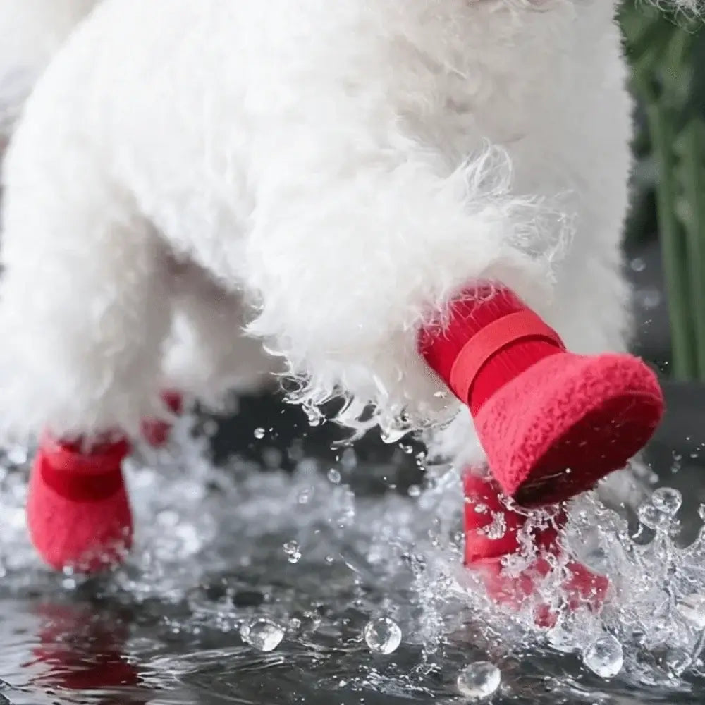 Red waterproof dog boots on a small white dog, non-slip, wear-resistant, and comfortable pet shoes for winter protection.