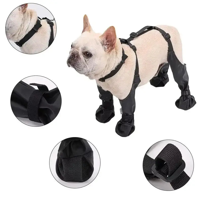 Waterproof dog boots non-slip on a French Bulldog, showcasing adjustable straps and paw protection for outdoor use.