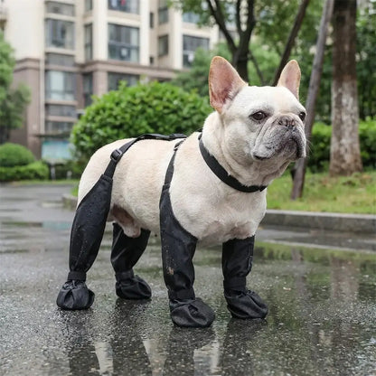 Waterproof dog boots non-slip on French Bulldog walking in rainy weather outdoors.