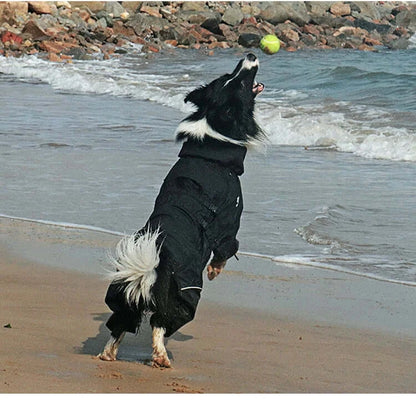 waterproof dog winter coat for medium and large dogs, reflective warm outdoor jacket for beach and rain