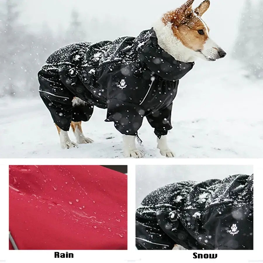 Waterproof dog winter coat for medium and large dogs, reflective black outdoor jacket for snow and rain protection