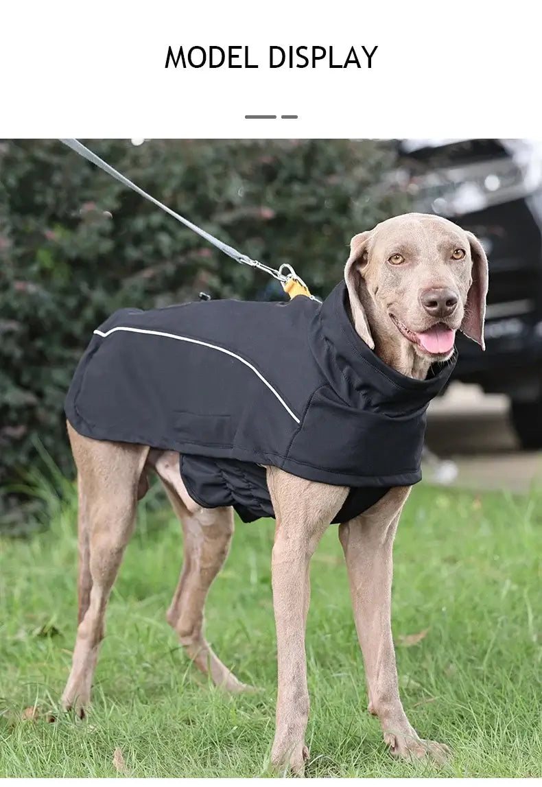 waterproof dog jacket for large dogs black reflective soft shell coat for outdoor winter walks