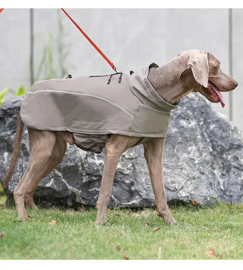 Waterproof dog jacket for large dogs with reflective soft shell fleece lining, shown on a large dog outdoors
