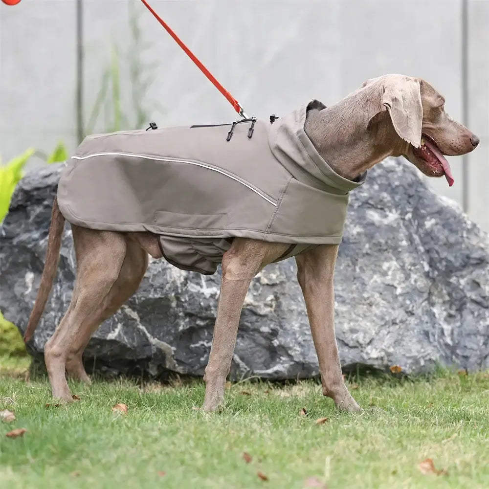 waterproof dog jacket for large dogs with reflective soft shell fleece lining for outdoor protection