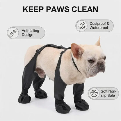 Waterproof dog boots non-slip on a French Bulldog, designed to keep paws clean and dry during outdoor walks.