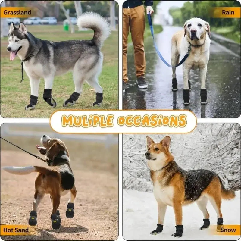 Multiple occasions showcasing waterproof outdoor dog boots on dogs in various environments like grass, rain, hot sand, and snow.