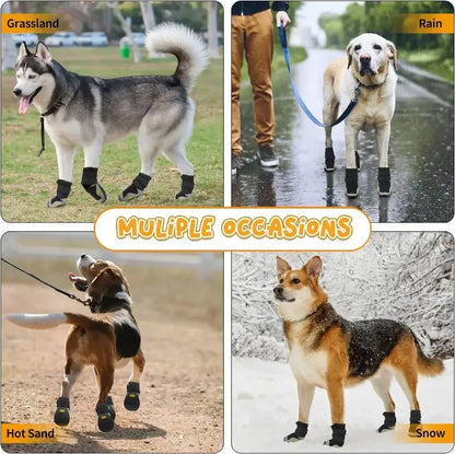 4pcs/set waterproof outdoor dog boots on dogs in various settings: grassland, rain, hot sand, and snow.