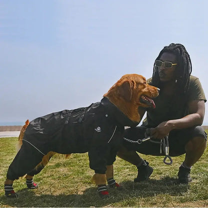 waterproof dog winter coat on large dog outdoors with reflective black jacket and owner