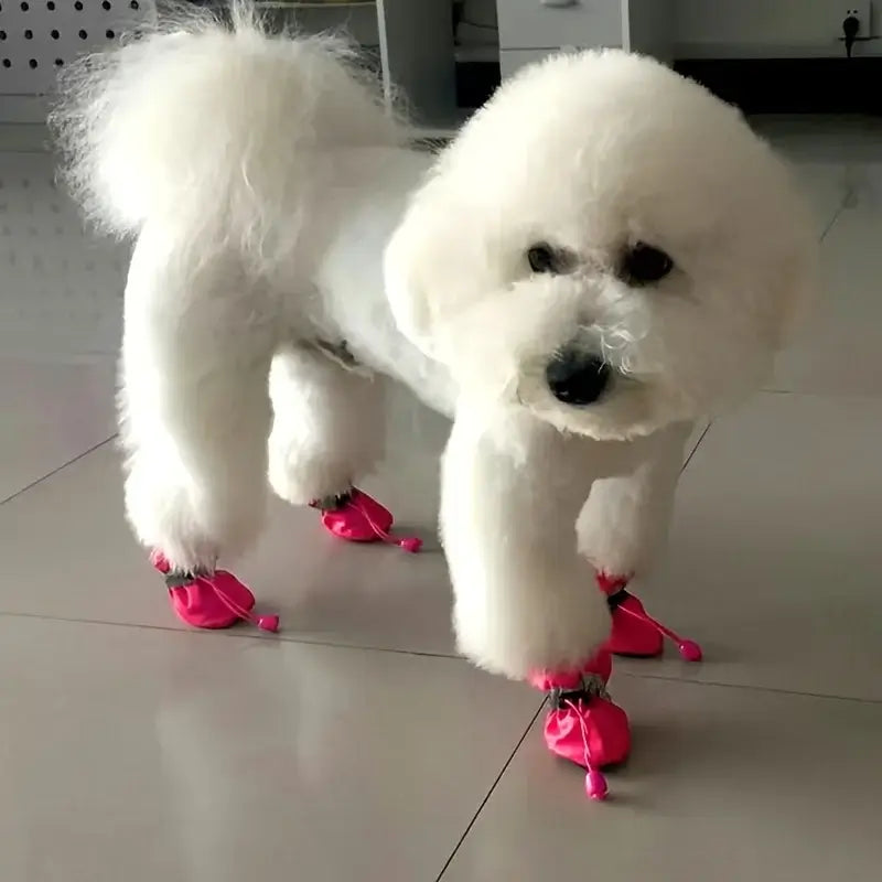White fluffy dog wearing waterproof dog boots indoors on tiled floor, showcasing soft bottom pet shoes for small dogs