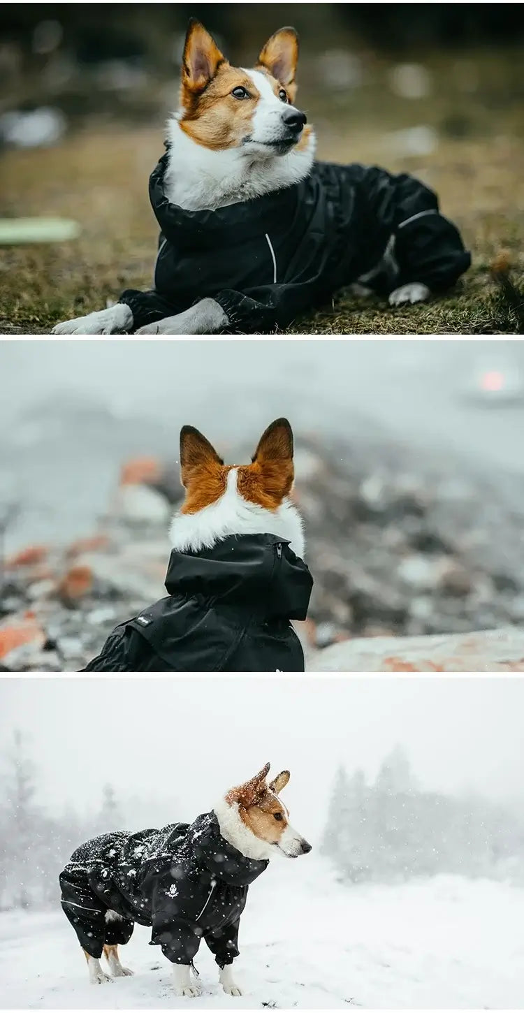waterproof dog winter coat for medium and large dogs, reflective warm raincoat for outdoor walking in cold weather