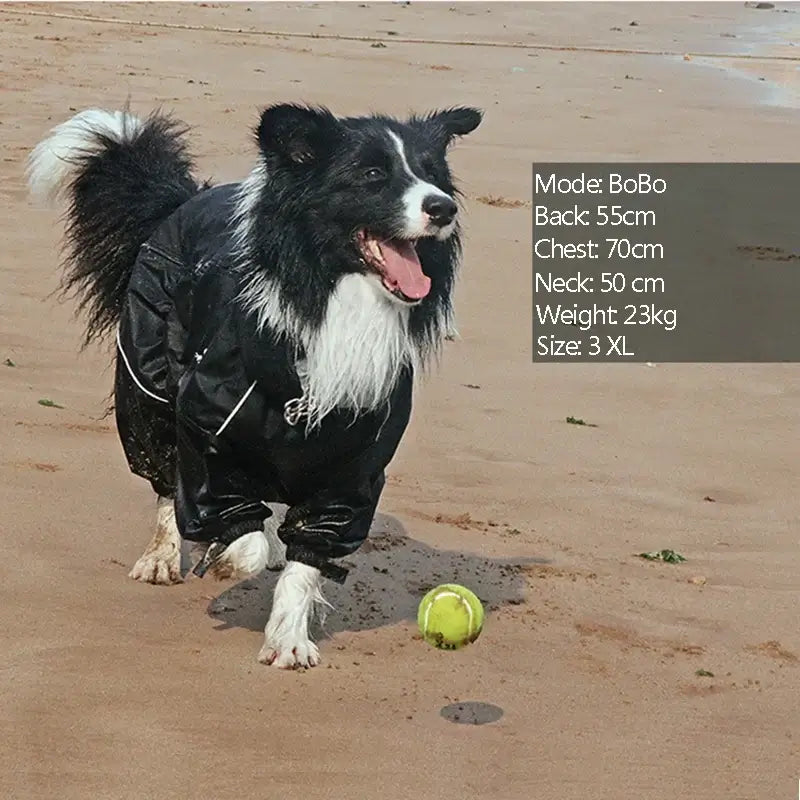 waterproof dog winter coat for medium large dogs, black reflective outdoor jumpsuit, warm winter raincoat