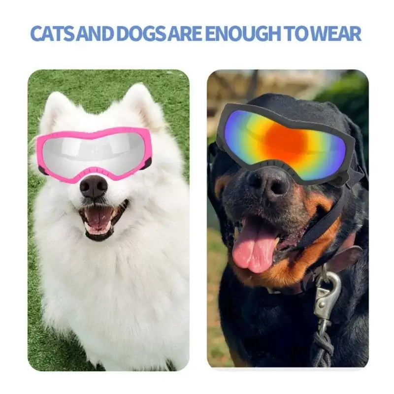 dog sunglasses for outdoor eye protection, windproof pet eyewear for cats and dogs