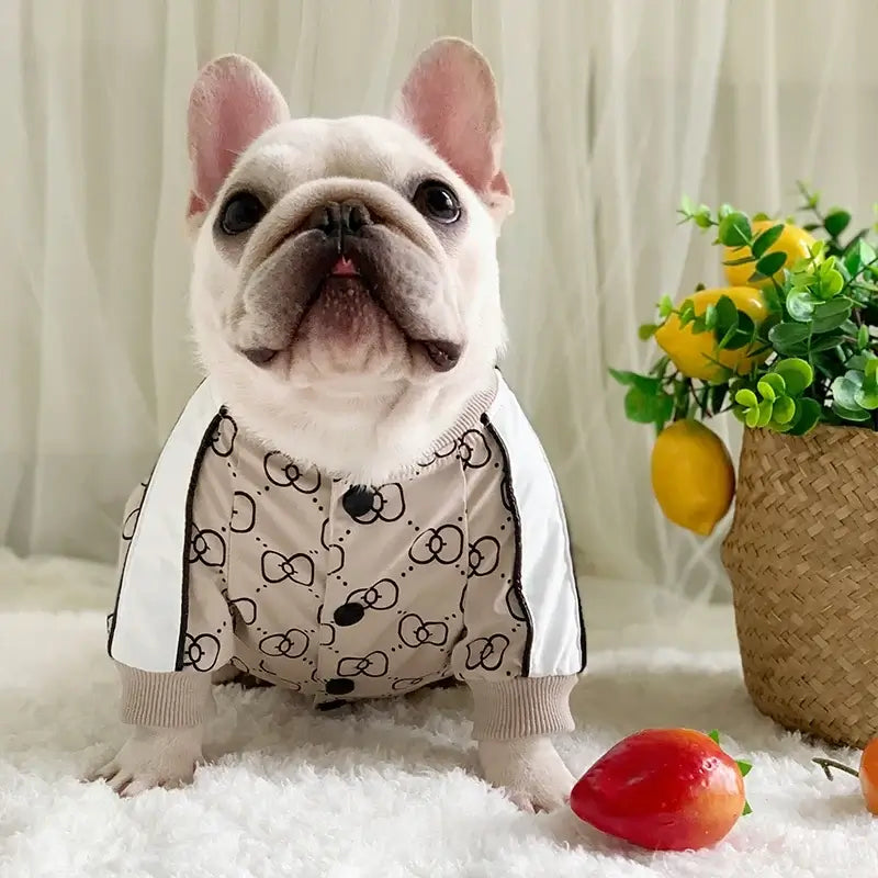 French bulldog wearing a warm dog winter jacket with stylish print, comfortable fit, and cozy winter pet fashion