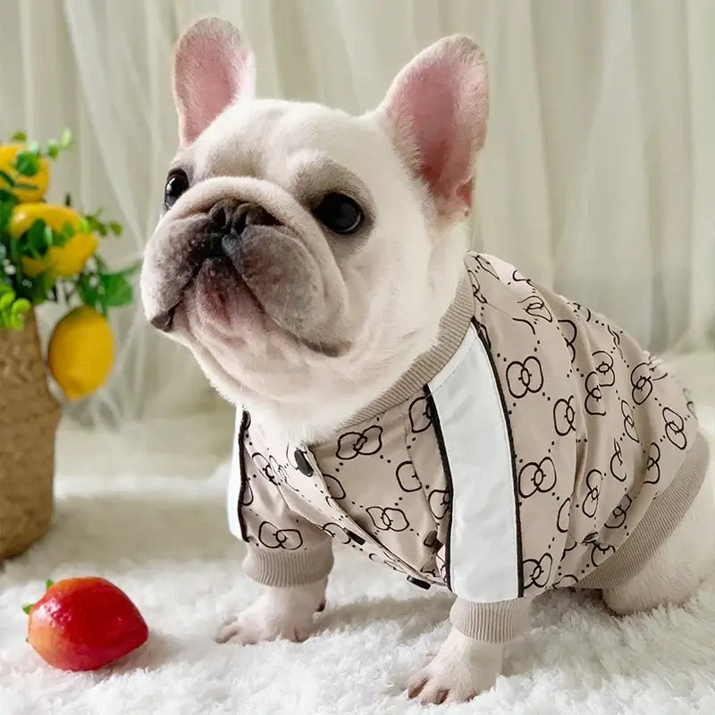 French bulldog wearing a warm dog winter jacket with designer print, comfortable and cozy for cold weather pet fashion