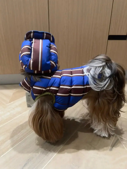 winter dog coat for small dogs blue striped cotton jacket with hood, warm padded clothes for small puppy