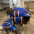 winter dog coat for small dogs blue striped cotton jacket with hat for small puppy or Bichon, warm autumn winter pet clothes