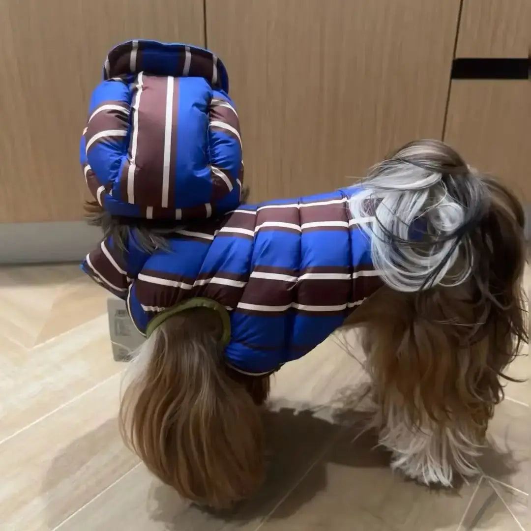 winter dog coat for small dogs blue striped hooded cotton jacket for small puppy warm autumn and winter pet clothes