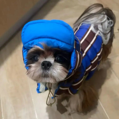 winter dog coat for small dogs blue striped hooded jacket for puppy and Bichon, warm cotton pet clothes