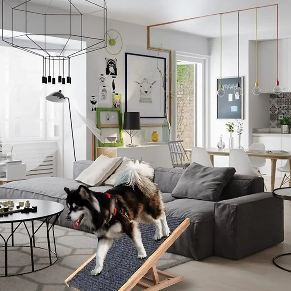 Small dog using adjustable wooden dog ladder in a modern living room setting with stylish decor.