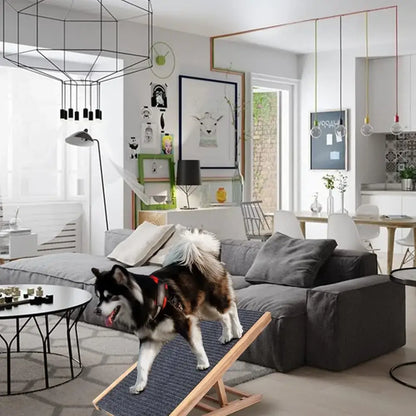 Small dog using adjustable wooden dog ladder in a modern living room setting with stylish decor.